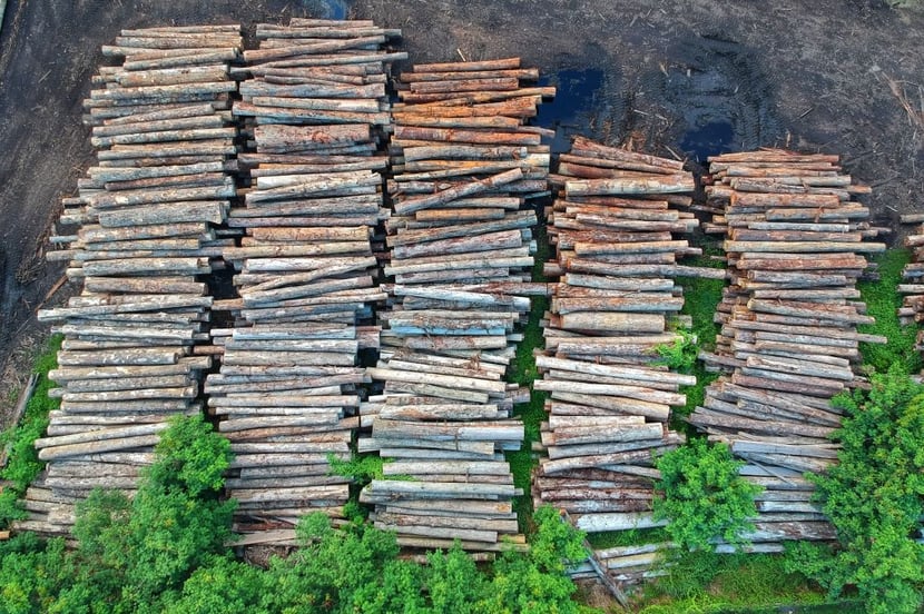 mass timber
